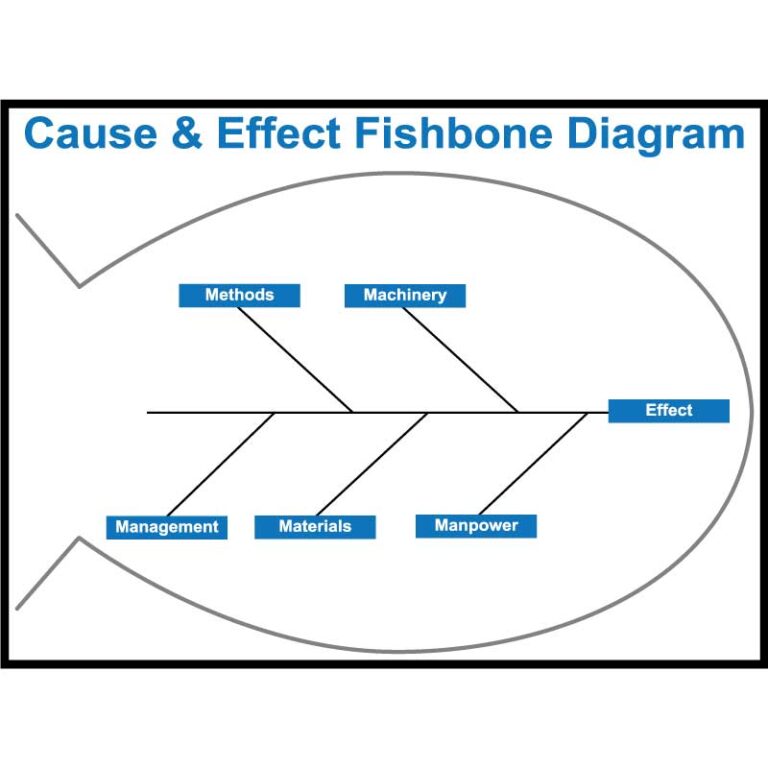 Fishbone Diagram, 36" x 48" - Visual Workplace, Inc.