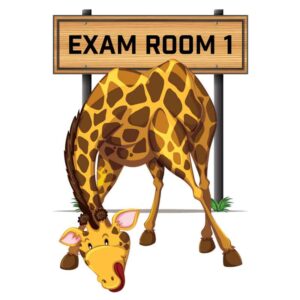 Animal Exam Room 1 Giraffe
