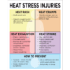 Heat Stress Injuries